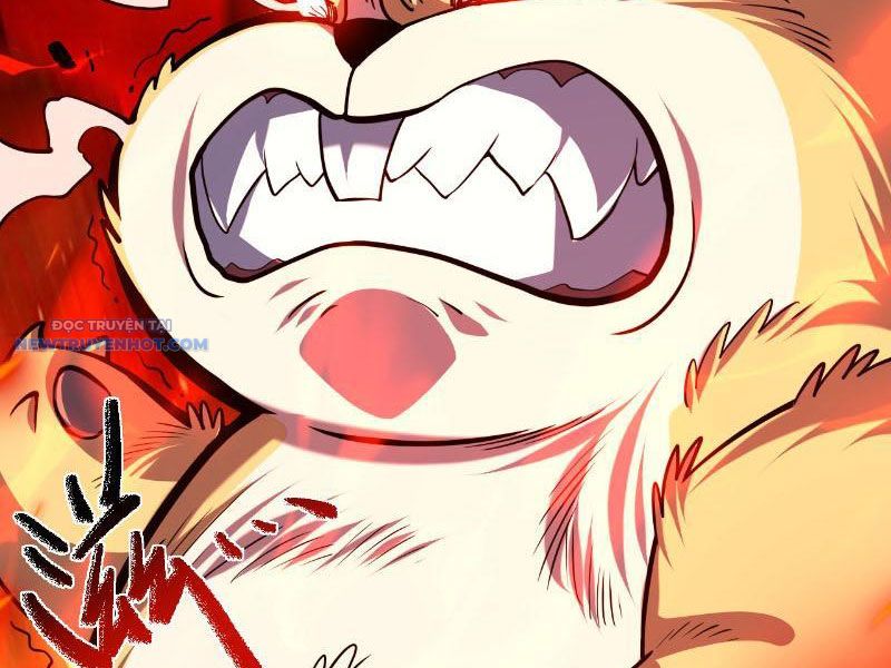 Mệnh Luân Chi Chủ! Làm Kẻ Biến Dị Giáng Xuống Nhân Gian Chapter 16 - Trang 2