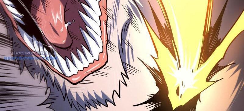 Mệnh Luân Chi Chủ! Làm Kẻ Biến Dị Giáng Xuống Nhân Gian Chapter 16 - Trang 2