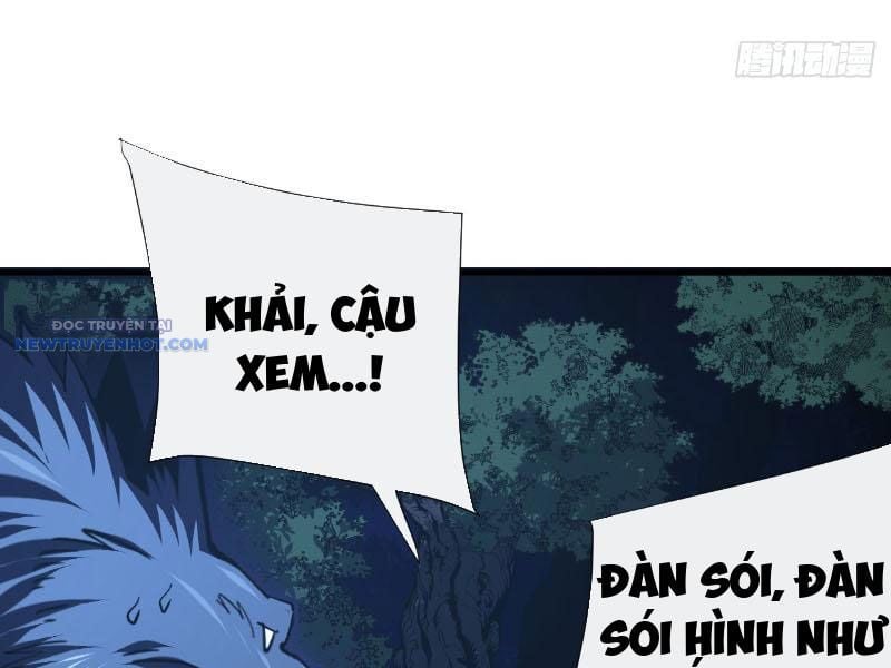 Mệnh Luân Chi Chủ! Làm Kẻ Biến Dị Giáng Xuống Nhân Gian Chapter 16 - Trang 2