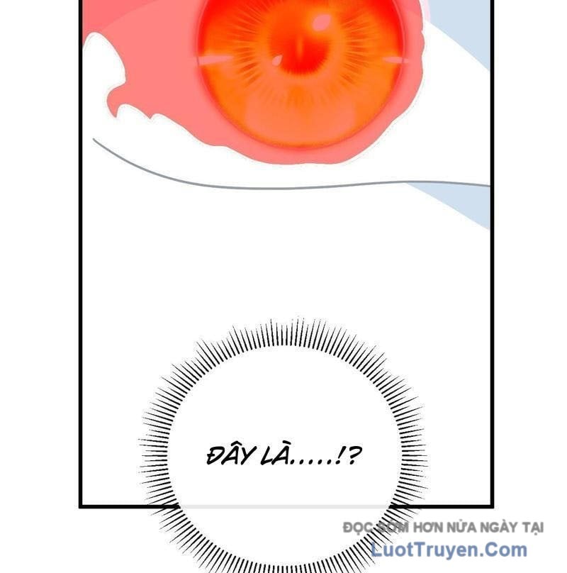 Mệnh Luân Chi Chủ! Làm Kẻ Biến Dị Giáng Xuống Nhân Gian Chapter 167 - Trang 2