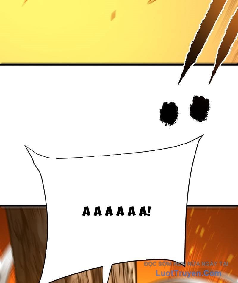 Mệnh Luân Chi Chủ! Làm Kẻ Biến Dị Giáng Xuống Nhân Gian Chapter 169 - Trang 2