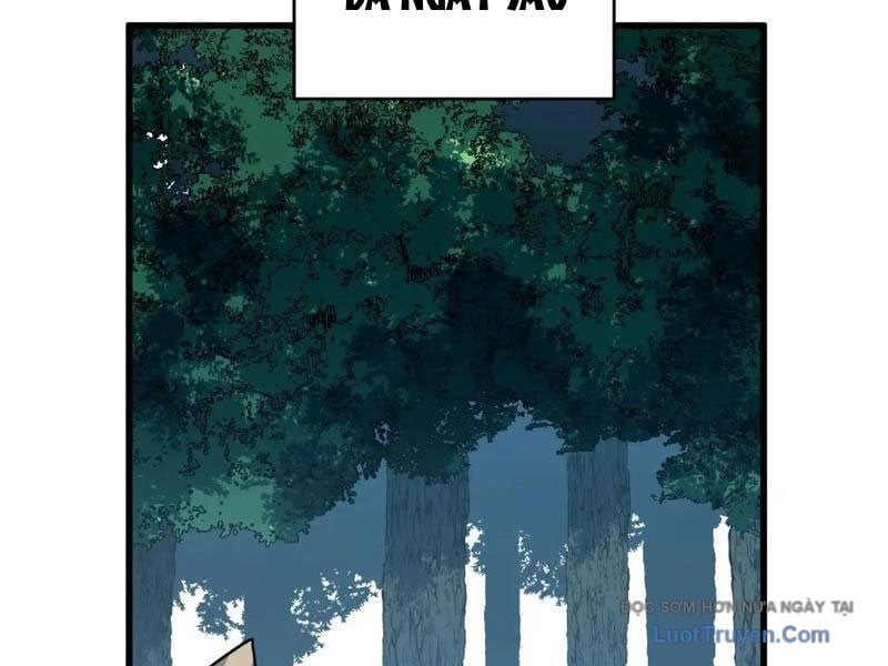 Mệnh Luân Chi Chủ! Làm Kẻ Biến Dị Giáng Xuống Nhân Gian Chapter 174 - Trang 2