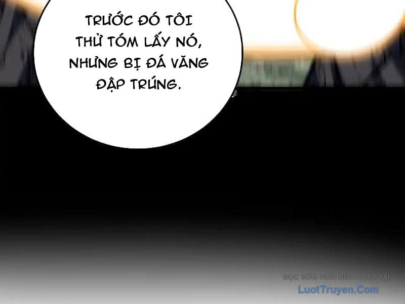 Mệnh Luân Chi Chủ! Làm Kẻ Biến Dị Giáng Xuống Nhân Gian Chapter 174 - Trang 2