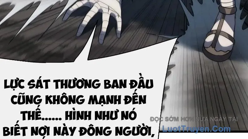 Mệnh Luân Chi Chủ! Làm Kẻ Biến Dị Giáng Xuống Nhân Gian Chapter 175 - Trang 2