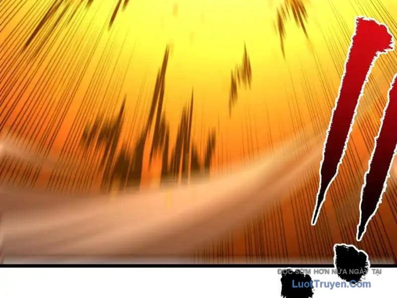 Mệnh Luân Chi Chủ! Làm Kẻ Biến Dị Giáng Xuống Nhân Gian Chapter 177 - Trang 2