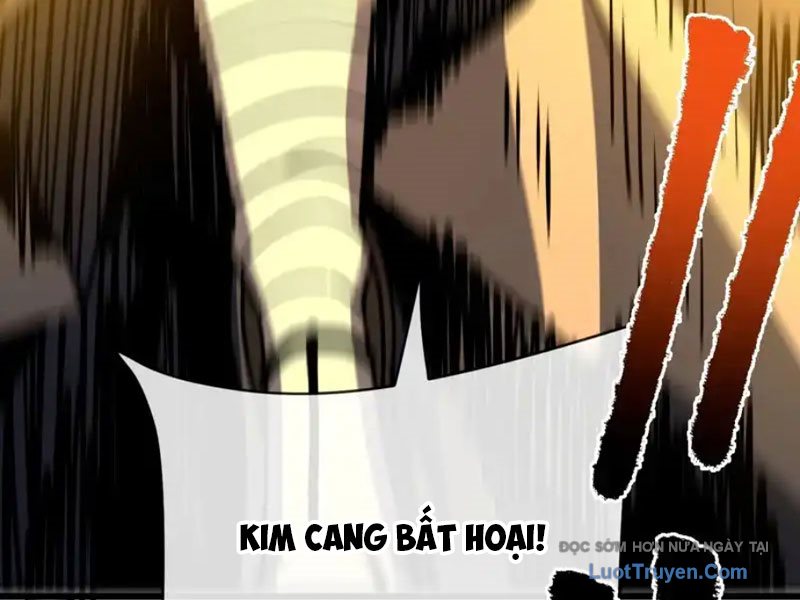 Mệnh Luân Chi Chủ! Làm Kẻ Biến Dị Giáng Xuống Nhân Gian Chapter 177 - Trang 2