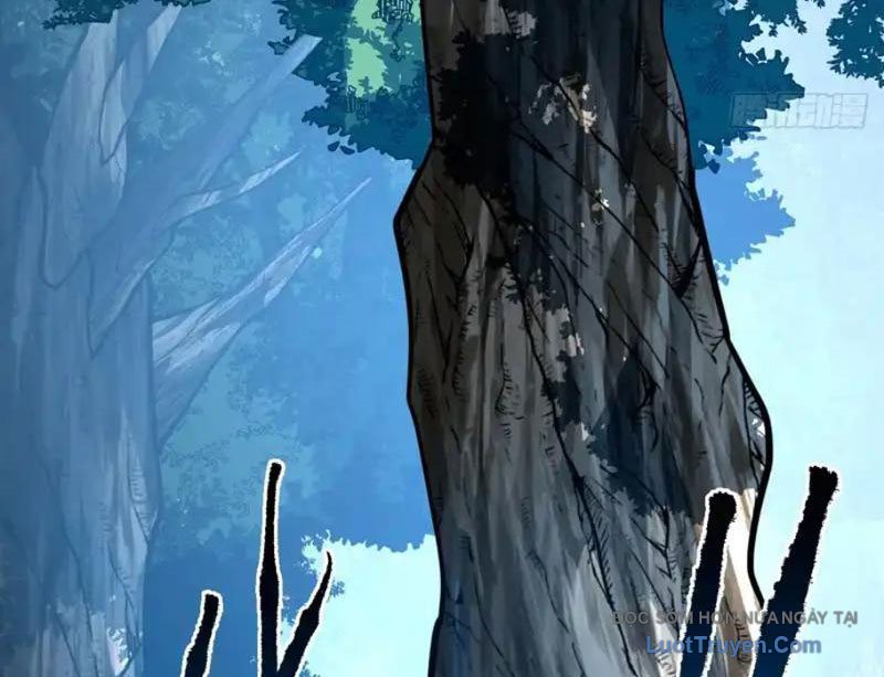 Mệnh Luân Chi Chủ! Làm Kẻ Biến Dị Giáng Xuống Nhân Gian Chapter 181 - Trang 2