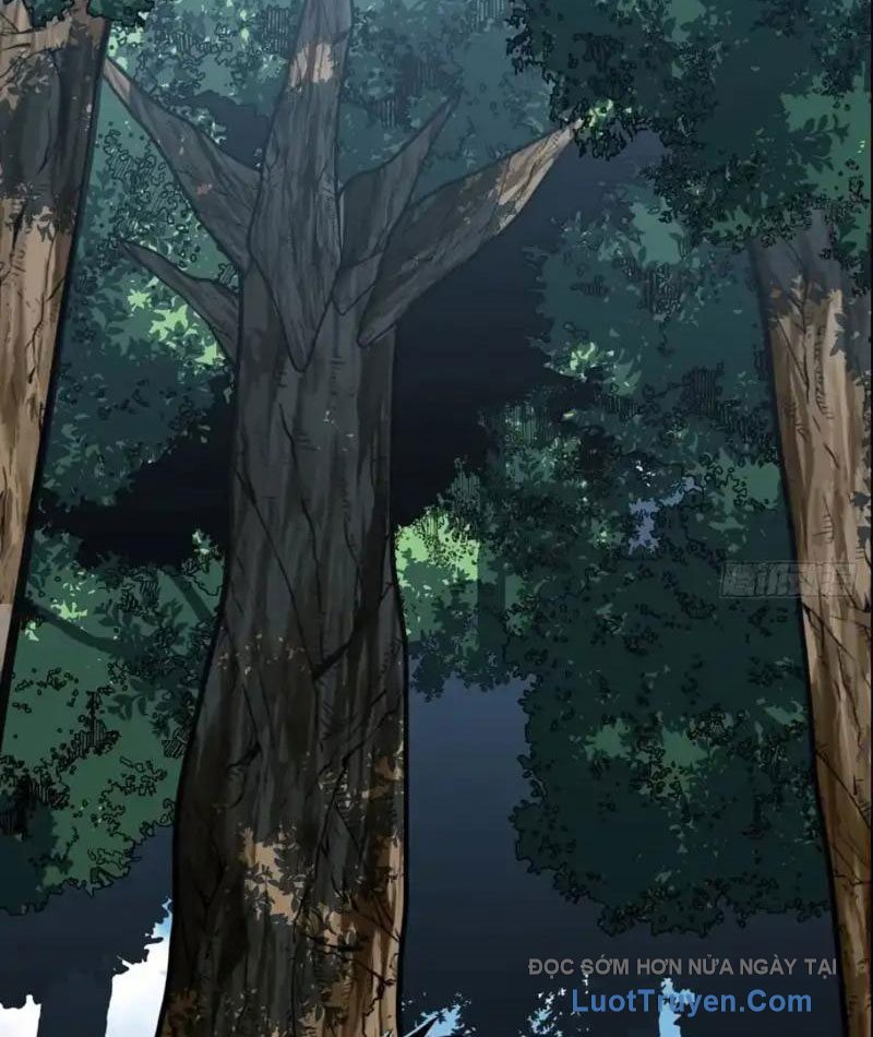 Mệnh Luân Chi Chủ! Làm Kẻ Biến Dị Giáng Xuống Nhân Gian Chapter 182 - Trang 2