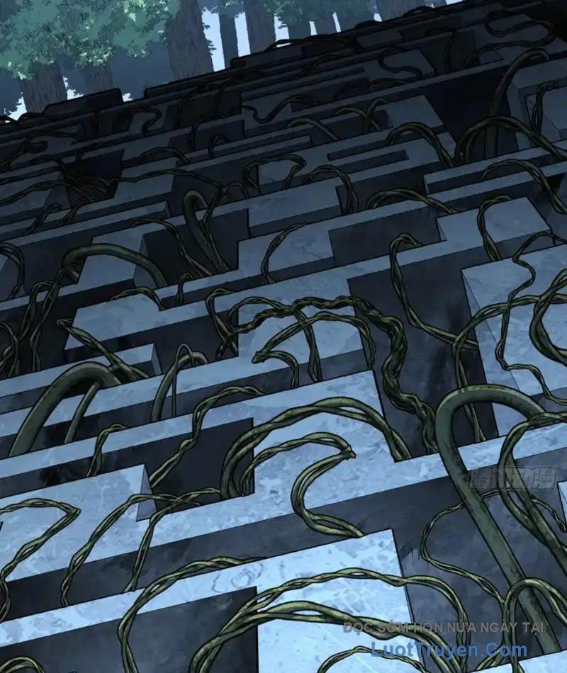 Mệnh Luân Chi Chủ! Làm Kẻ Biến Dị Giáng Xuống Nhân Gian Chapter 182 - Trang 2