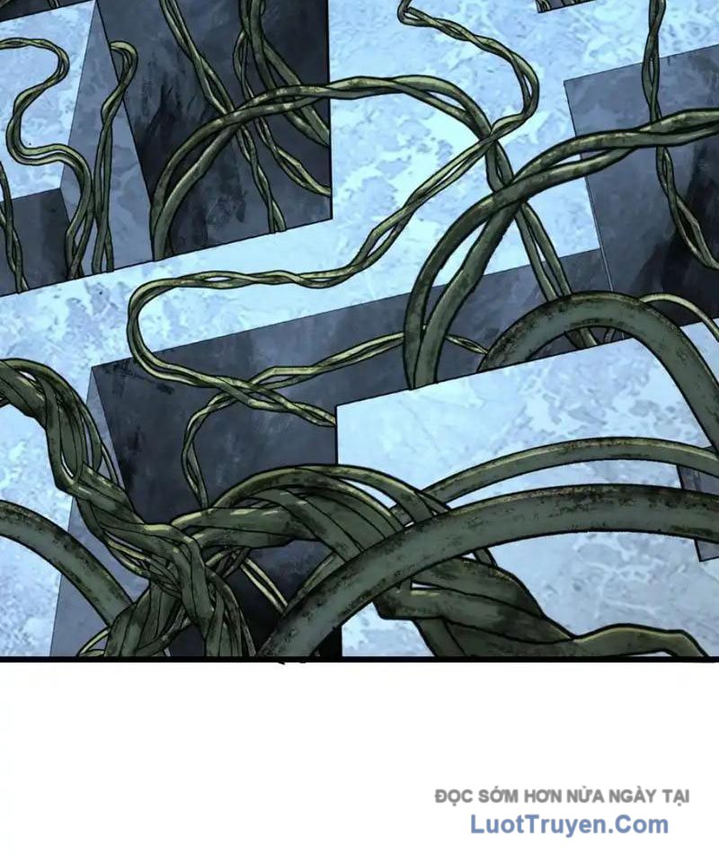 Mệnh Luân Chi Chủ! Làm Kẻ Biến Dị Giáng Xuống Nhân Gian Chapter 182 - Trang 2