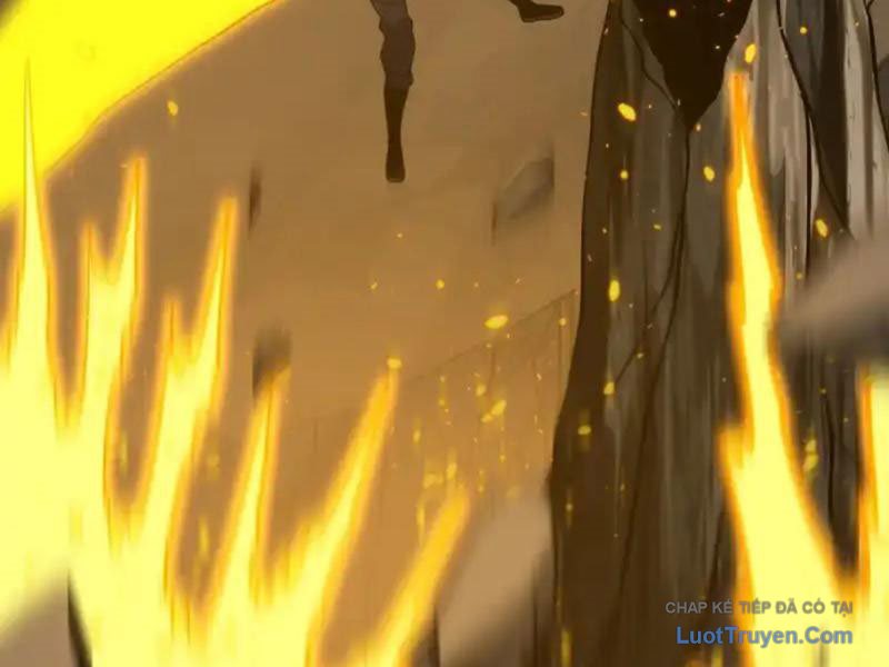 Mệnh Luân Chi Chủ! Làm Kẻ Biến Dị Giáng Xuống Nhân Gian Chapter 183 - Trang 2