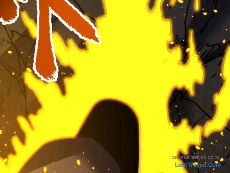 Mệnh Luân Chi Chủ! Làm Kẻ Biến Dị Giáng Xuống Nhân Gian Chapter 183 - Trang 2