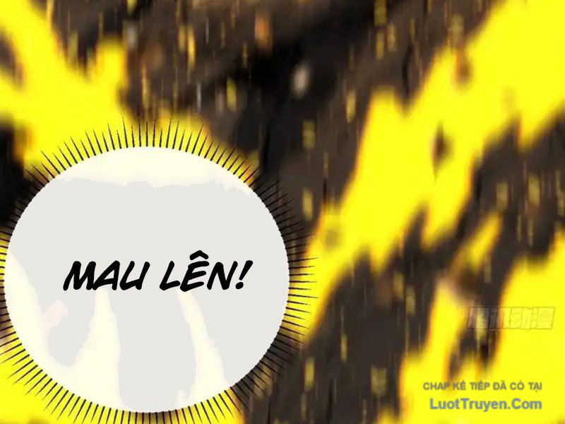 Mệnh Luân Chi Chủ! Làm Kẻ Biến Dị Giáng Xuống Nhân Gian Chapter 183 - Trang 2