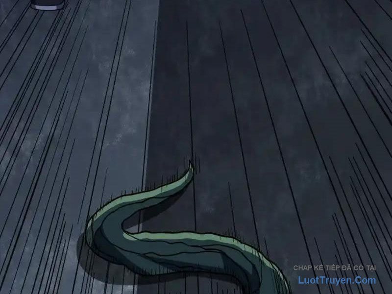 Mệnh Luân Chi Chủ! Làm Kẻ Biến Dị Giáng Xuống Nhân Gian Chapter 183 - Trang 2