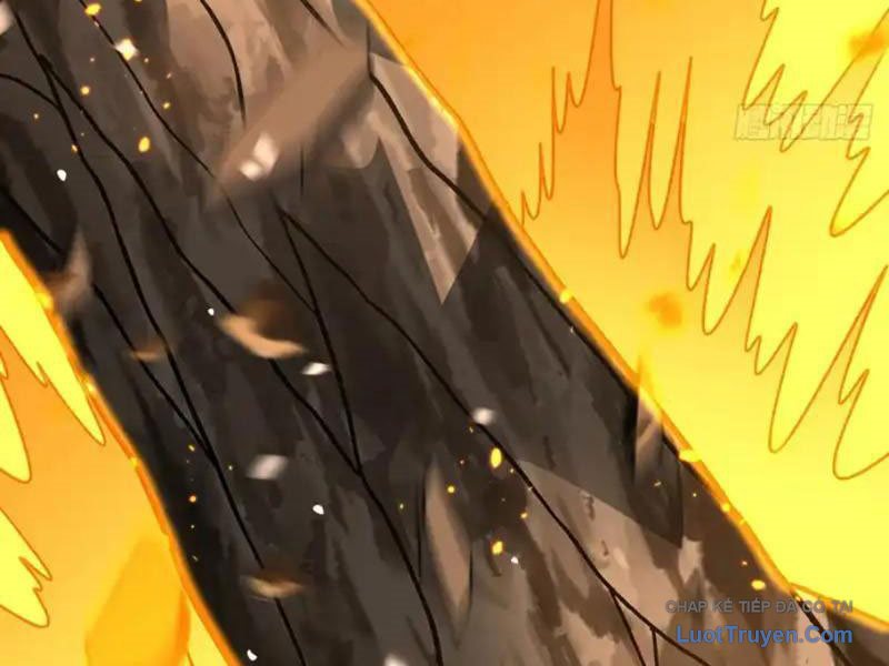 Mệnh Luân Chi Chủ! Làm Kẻ Biến Dị Giáng Xuống Nhân Gian Chapter 183 - Trang 2