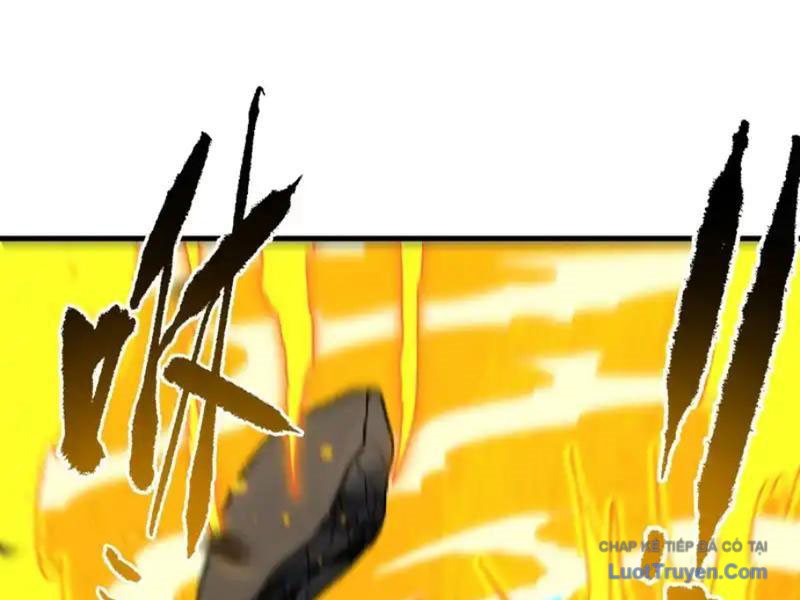 Mệnh Luân Chi Chủ! Làm Kẻ Biến Dị Giáng Xuống Nhân Gian Chapter 184 - Trang 2