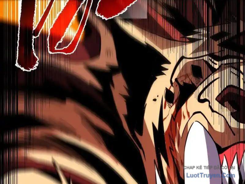 Mệnh Luân Chi Chủ! Làm Kẻ Biến Dị Giáng Xuống Nhân Gian Chapter 191 - Trang 2