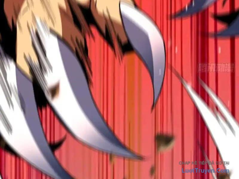 Mệnh Luân Chi Chủ! Làm Kẻ Biến Dị Giáng Xuống Nhân Gian Chapter 191 - Trang 2