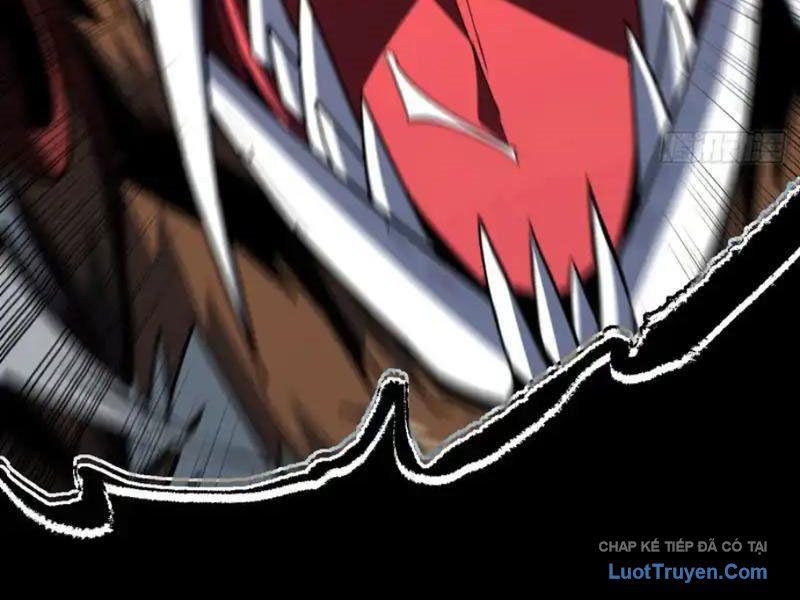 Mệnh Luân Chi Chủ! Làm Kẻ Biến Dị Giáng Xuống Nhân Gian Chapter 191 - Trang 2