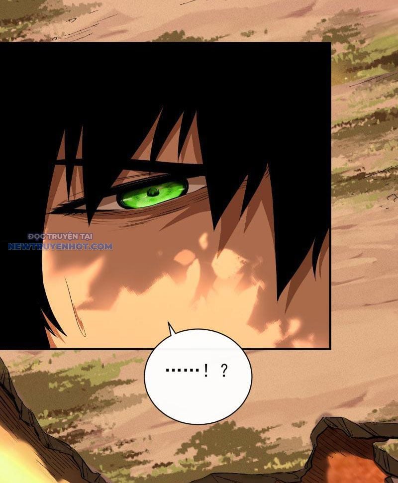 Mệnh Luân Chi Chủ! Làm Kẻ Biến Dị Giáng Xuống Nhân Gian Chapter 2 - Trang 2