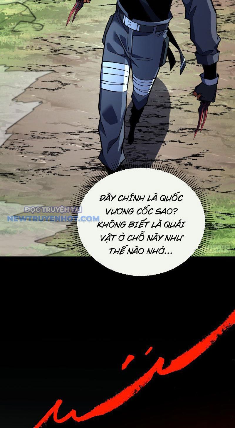 Mệnh Luân Chi Chủ! Làm Kẻ Biến Dị Giáng Xuống Nhân Gian Chapter 23 - Trang 2