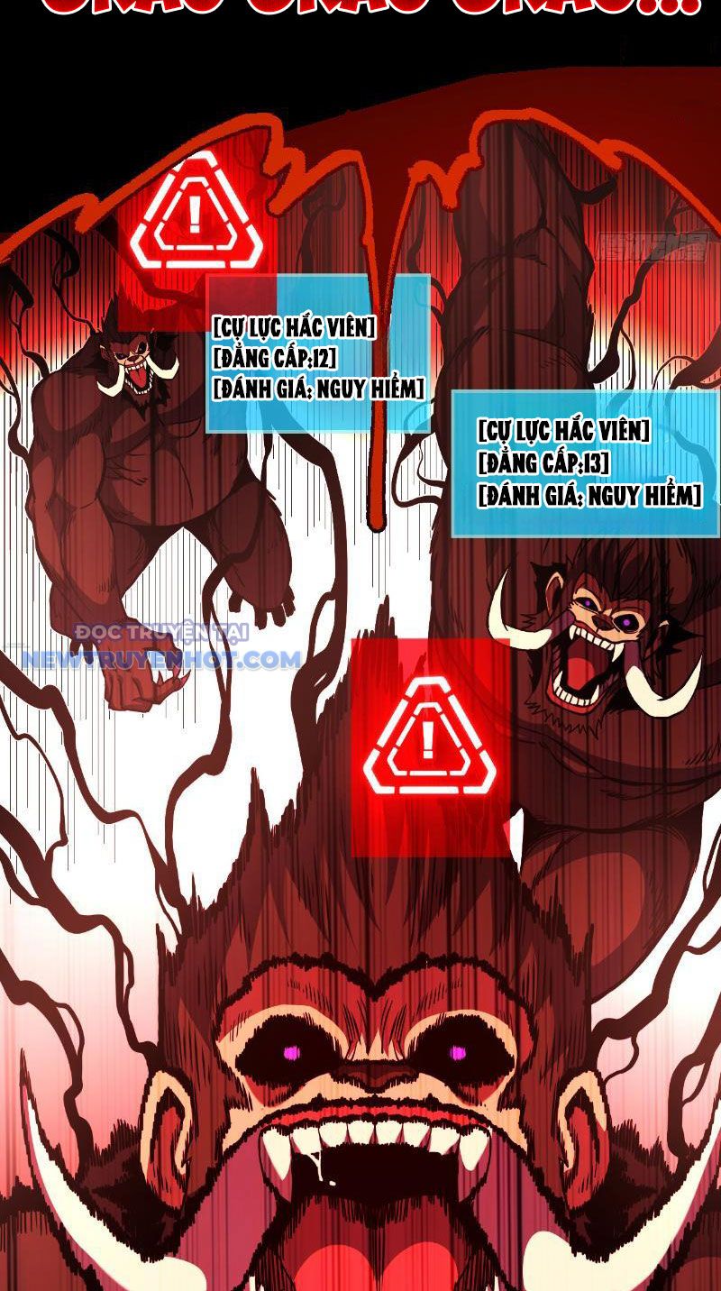 Mệnh Luân Chi Chủ! Làm Kẻ Biến Dị Giáng Xuống Nhân Gian Chapter 23 - Trang 2