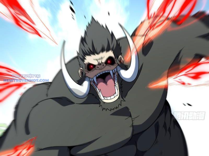 Mệnh Luân Chi Chủ! Làm Kẻ Biến Dị Giáng Xuống Nhân Gian Chapter 24 - Trang 2