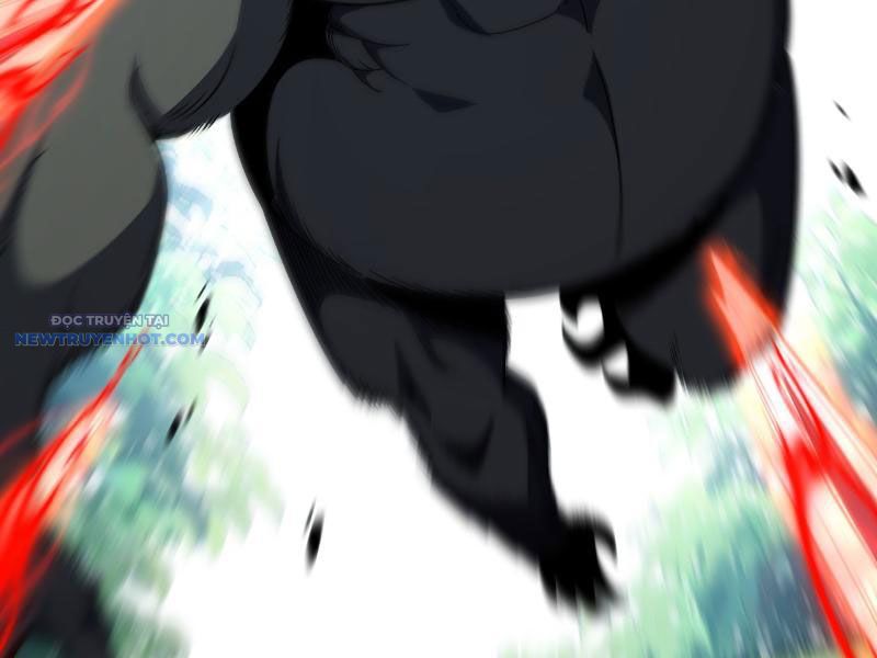 Mệnh Luân Chi Chủ! Làm Kẻ Biến Dị Giáng Xuống Nhân Gian Chapter 24 - Trang 2