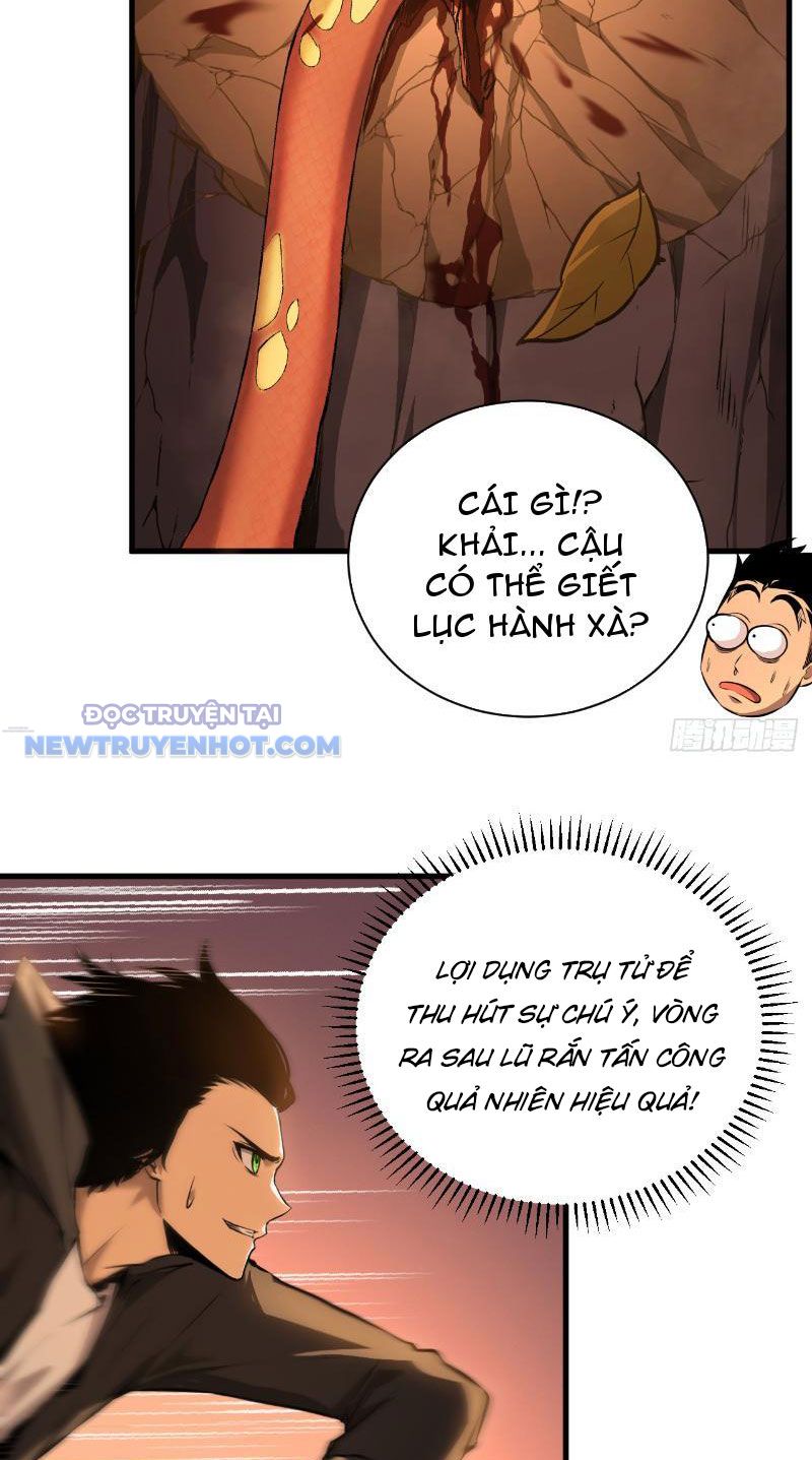 Mệnh Luân Chi Chủ! Làm Kẻ Biến Dị Giáng Xuống Nhân Gian Chapter 3 - Trang 2