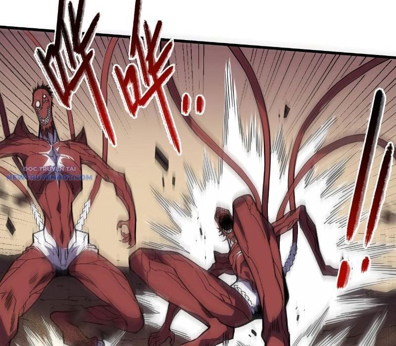 Mệnh Luân Chi Chủ! Làm Kẻ Biến Dị Giáng Xuống Nhân Gian Chapter 4 - Trang 2