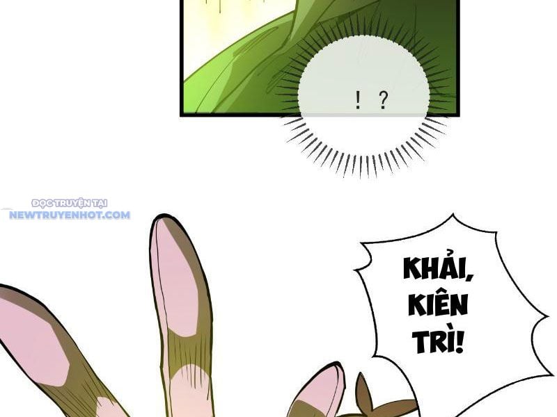 Mệnh Luân Chi Chủ! Làm Kẻ Biến Dị Giáng Xuống Nhân Gian Chapter 5 - Trang 2