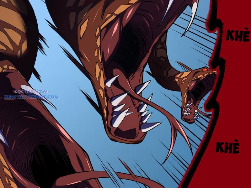 Mệnh Luân Chi Chủ! Làm Kẻ Biến Dị Giáng Xuống Nhân Gian Chapter 6 - Trang 2