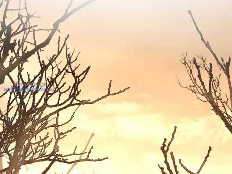 Mệnh Luân Chi Chủ! Làm Kẻ Biến Dị Giáng Xuống Nhân Gian Chapter 70 - Trang 2