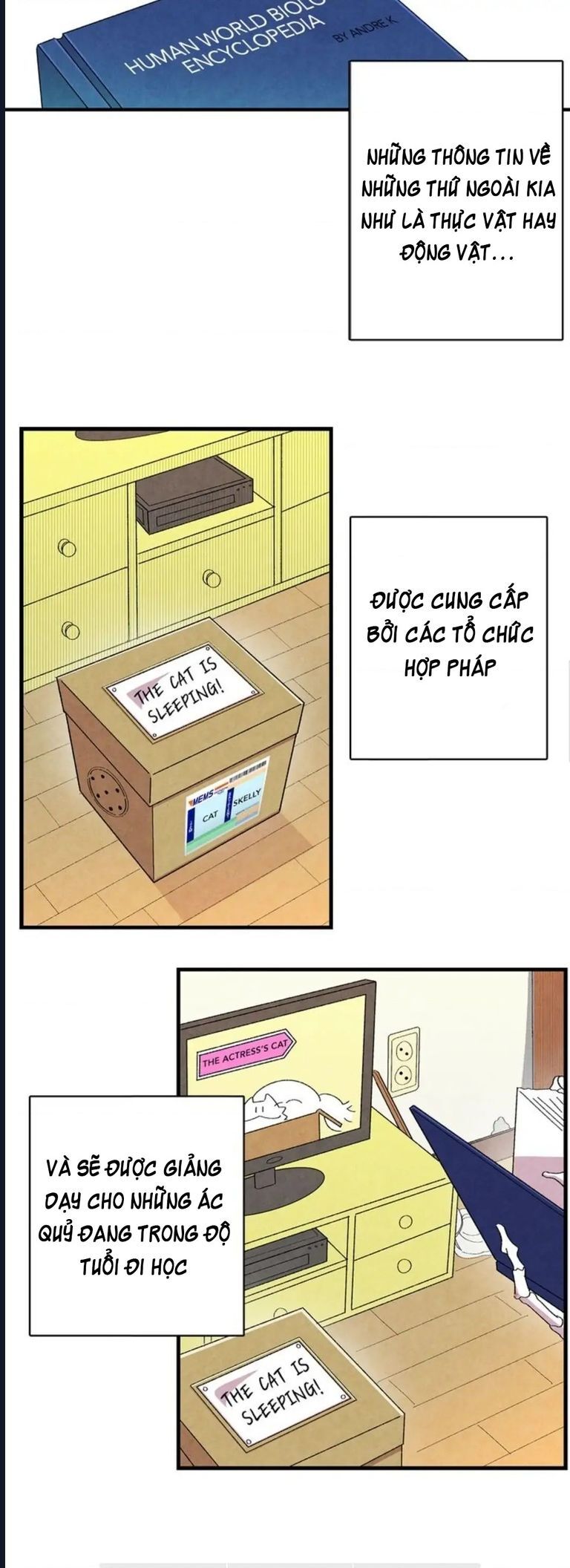 Mèo Con Của Skelly Chapter 1 - Trang 2