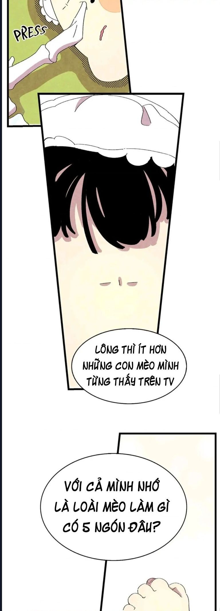 Mèo Con Của Skelly Chapter 2 - Trang 2