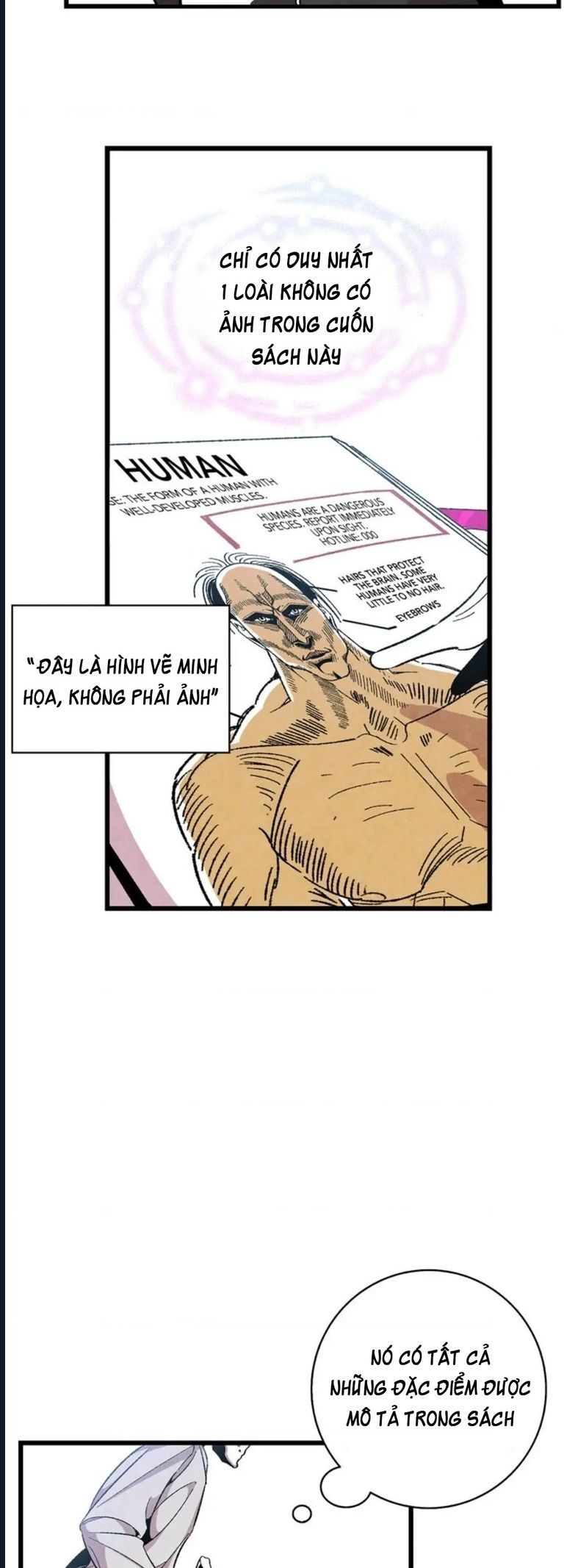 Mèo Con Của Skelly Chapter 2 - Trang 2