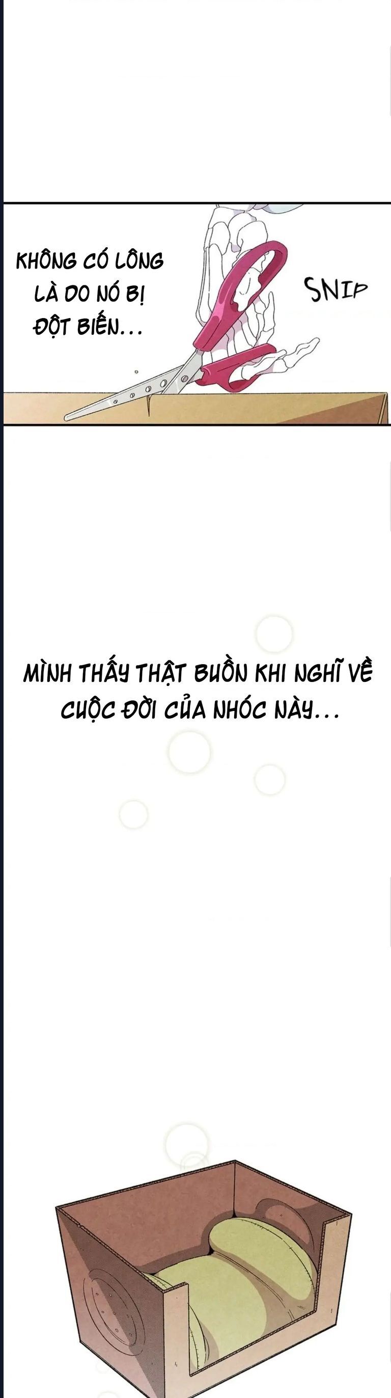 Mèo Con Của Skelly Chapter 3 - Trang 2