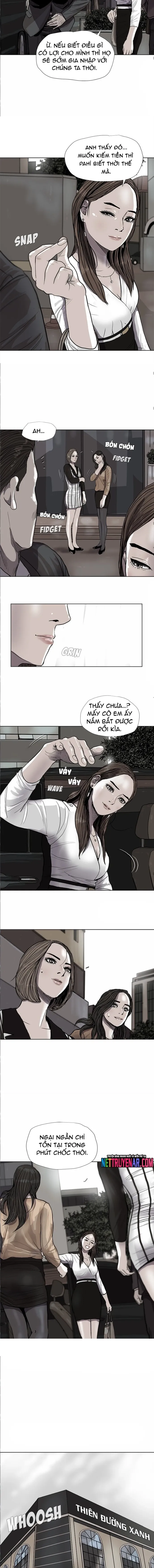 Miền Đất Xanh Chapter 37 - Trang 2