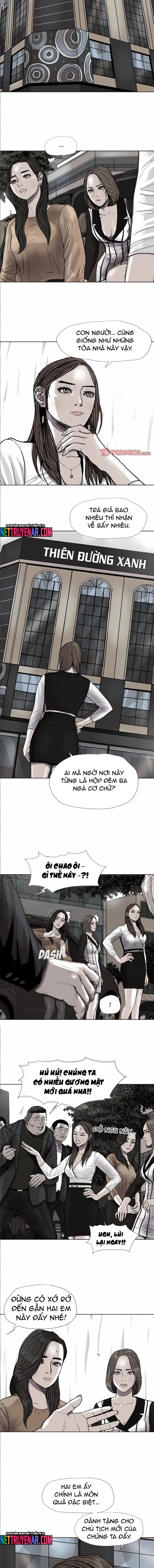 Miền Đất Xanh Chapter 37 - Trang 2