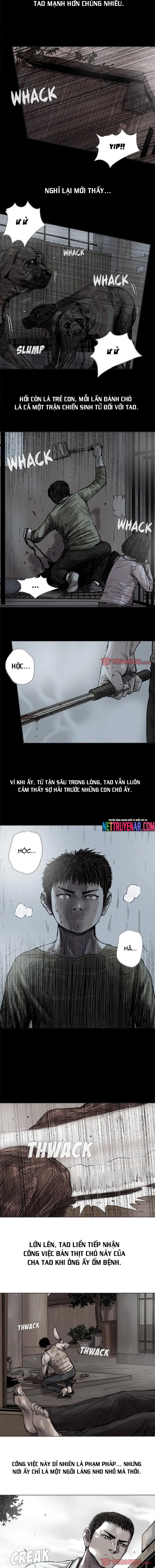 Miền Đất Xanh Chapter 43 - Trang 2