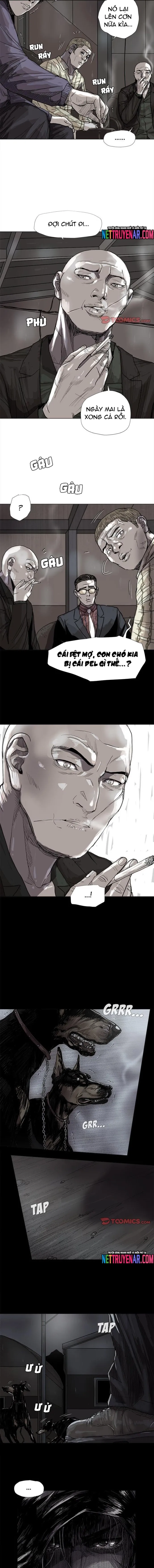 Miền Đất Xanh Chapter 45 - Trang 2