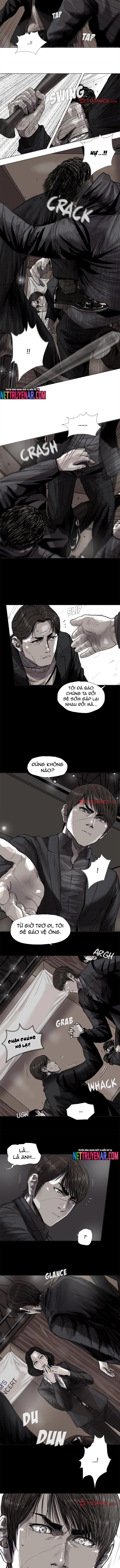 Miền Đất Xanh Chapter 55 - Trang 2