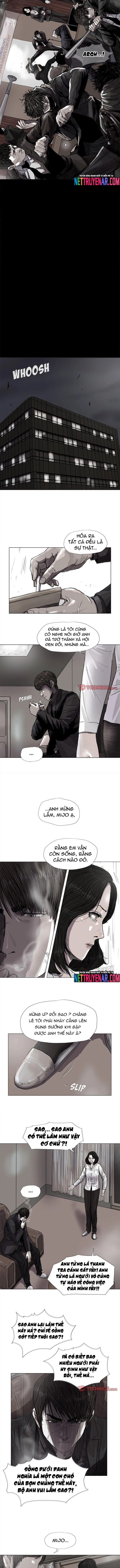 Miền Đất Xanh Chapter 56 - Trang 2