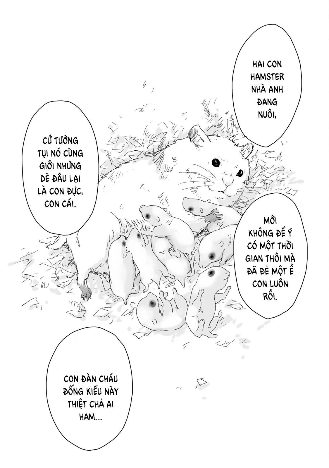 Mii Và Yamada Chapter 6 - Trang 2