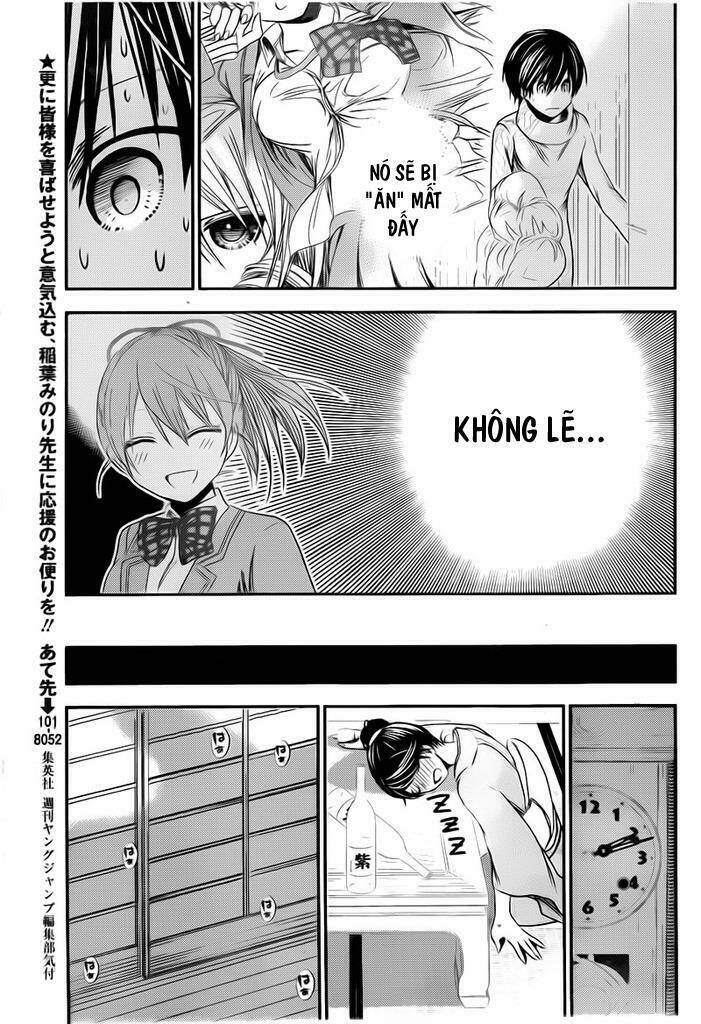 Minamoto-Kun Monogatari Chapter 250 - Trang 2