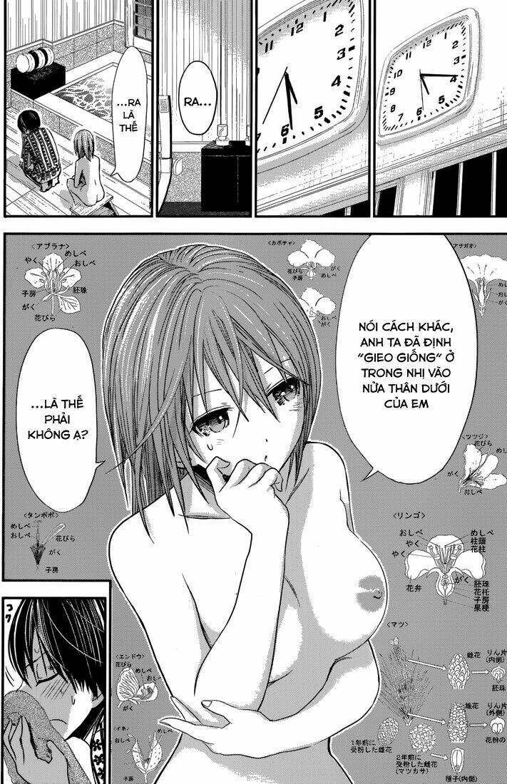 Minamoto-Kun Monogatari Chapter 257 - Trang 2