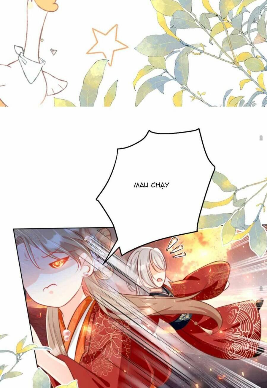 Mở Đầu Nữ Đế Làm Chính Cung Chapter 168 - Trang 2