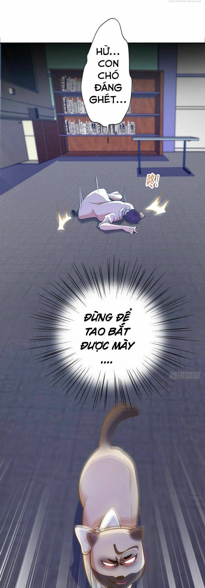 Mở Phòng Khám Tại Tu Tiên Giới Chapter 2 - Trang 2