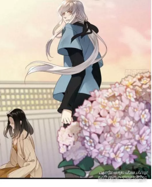 Mời Anh Bốc Quẻ Chapter 16 - Trang 2