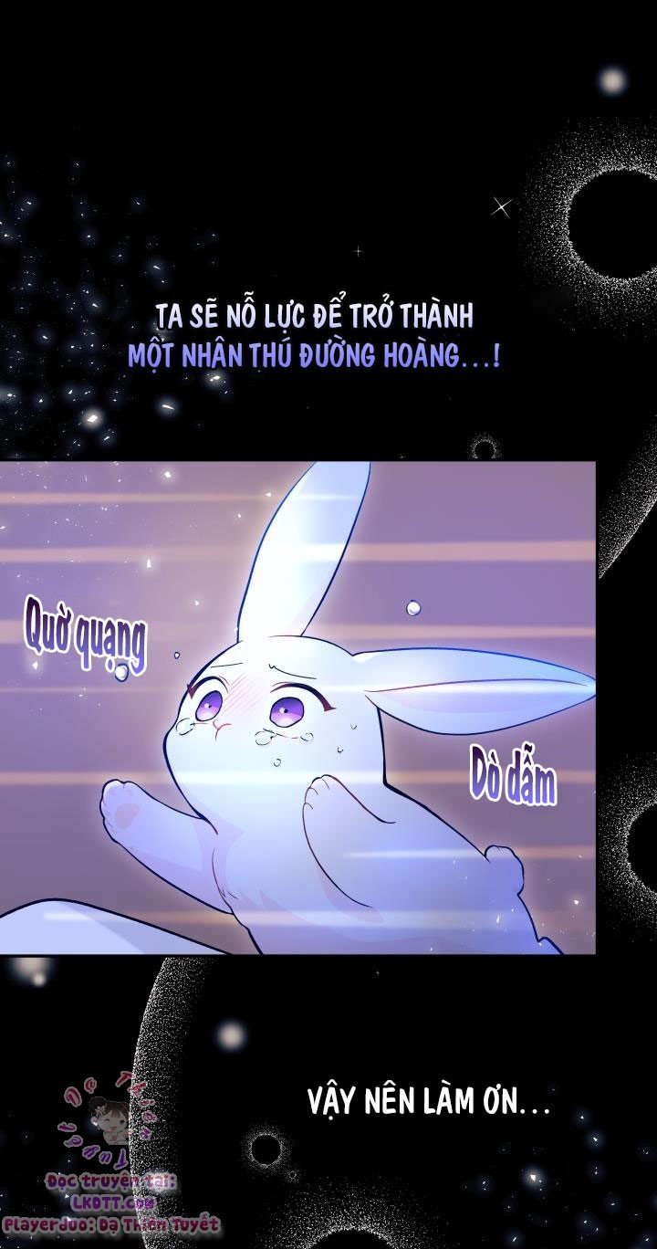 Mối Quan Hệ Cộng Sinh Giữa Báo Đen Và Thỏ Trắng Chapter 1 - Trang 2